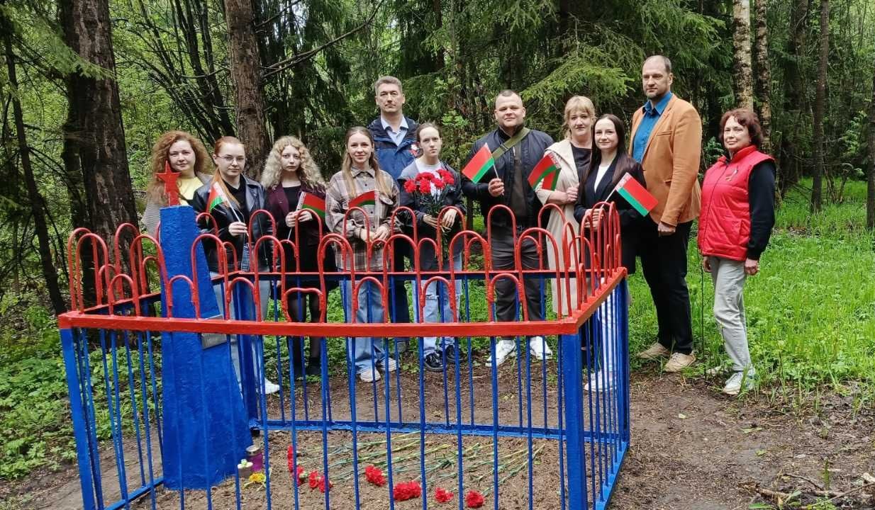 Алые гвоздики на сером граните: Память, которая живет в сердцах.